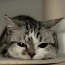 paldoeepy paldoeepy
