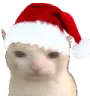 ChristmasCat Discord Emoji