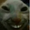 xdd xdd