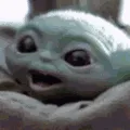 groguHappy