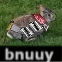 avybnuuy avybnuuy