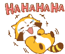 hahaha_racoon