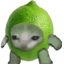 burt