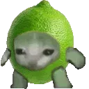 burt_vibrating