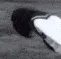 TheVoid