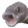 pogFish