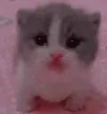 scared