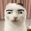 bro