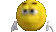 angr3