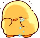 SSSSbirdycry SSSSbirdycry