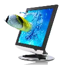 FishLeapingOutOfWater