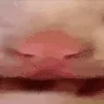 hii2