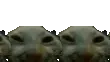 xddConga