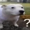 huh
