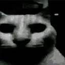 Kot_Mrak