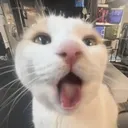 _milly_wow _milly_wow
