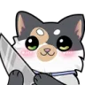 a_cute_stab_knife_kitty