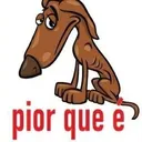 cachorro