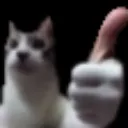nice