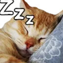 Zzz_cat