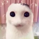 kawaii
