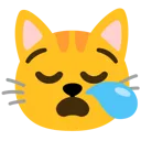catsigh