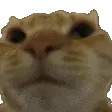 nononono