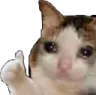 sadcat1