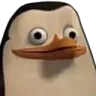 confusedPenguin
