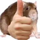 ratgood