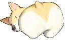corgisussy