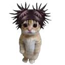 chosocat Discord Emoji