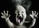ashbaby ashbaby