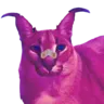Floppa2049