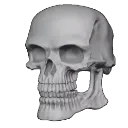 skullskullemoji