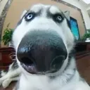 d_nnnooo