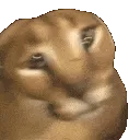 Floppas