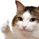 Thumbsupcat thumbsupcat Discord Emoji