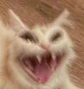 AaAaaAaAAaAAAAAaaaAAAAAaAAaAAAAA