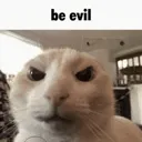 beevil beevil