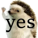 Cub_yes