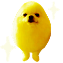 eggdog_gold Discord emoji