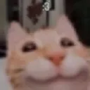 3_
