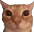 catto