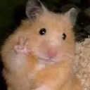 hamster_peace