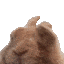 BunnyVibe