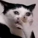 cry cry