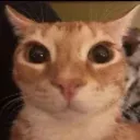 CatSmile_c Discord Emoji