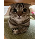 herbertCDQ