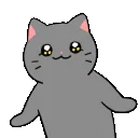 ccat_wink_thezoo